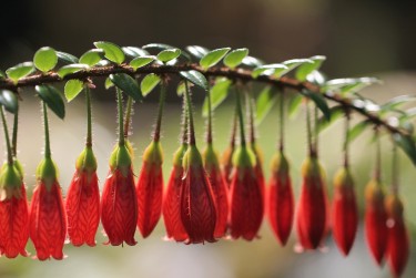 佛山三水区2私人快速借钱网，轻松解决资金难题