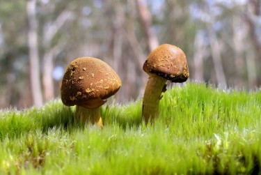 佛山三水区2私人老板放款：轻松融资的秘密通道